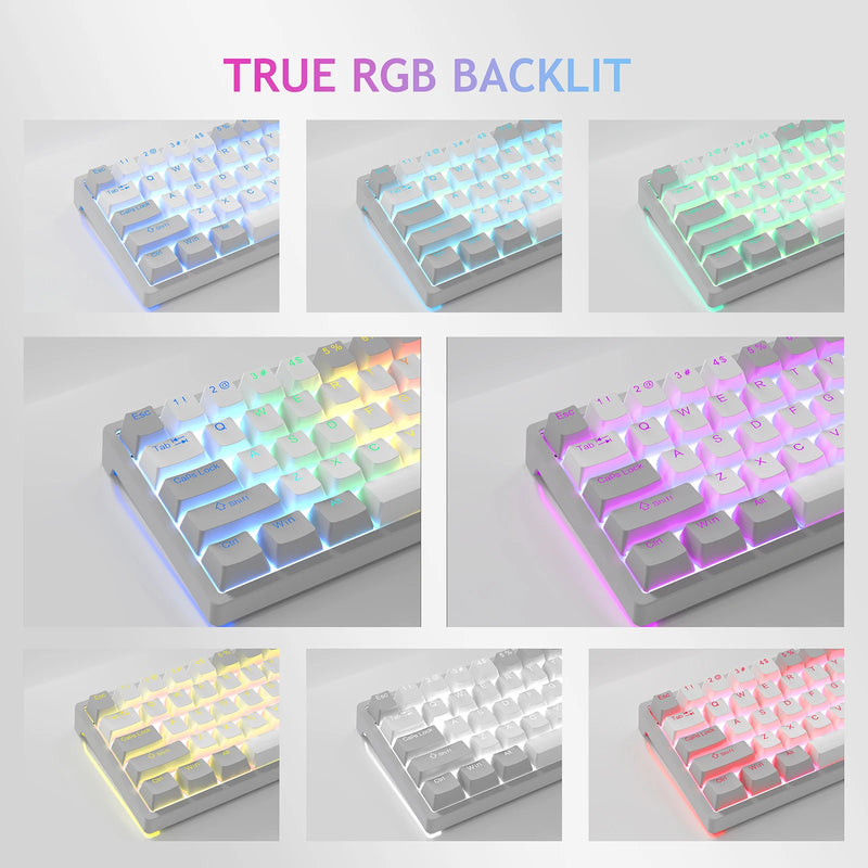 AULA F3261 RGB efeito USB Mini teclado mecânico para jogos Interruptor vermelho 61 teclas com fio Cabo destacável separado para Mac Windows